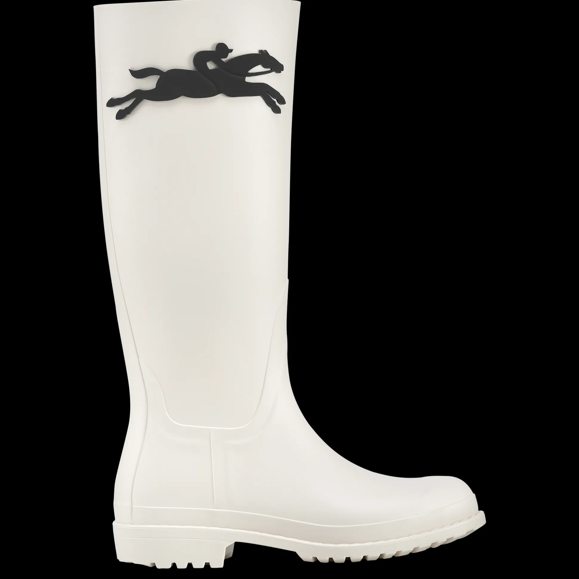 flache_stiefel_0-1.webp Longchamp Flache Stiefel^Damen Stiefel & Stiefeletten