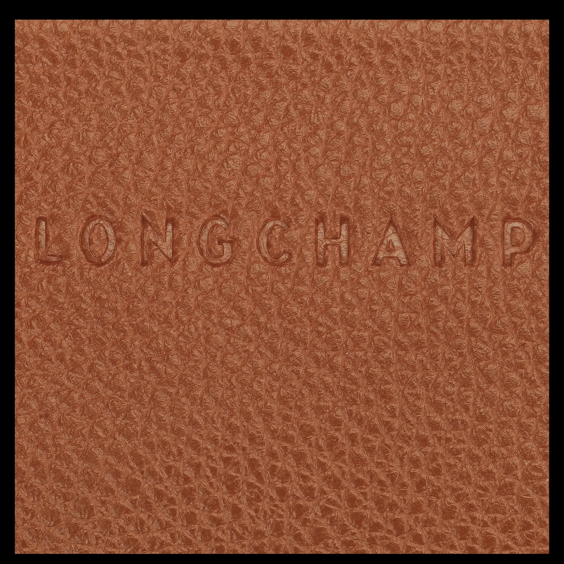 kartenetui_3-3.webp Longchamp Karten-Etui^Damen Kartenhalter & Portemonnaies | Kartenhalter & Portemonnaies