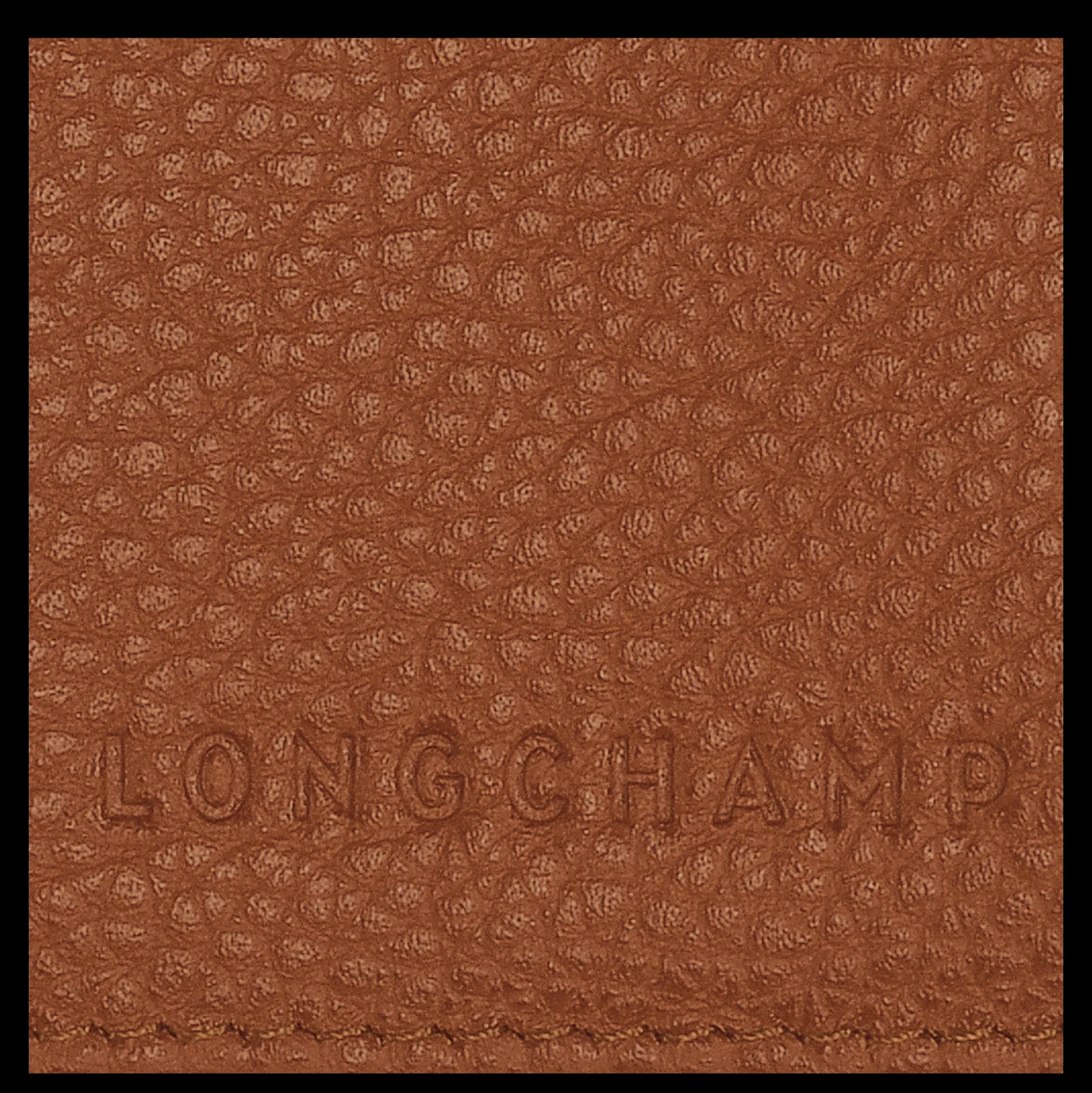 reisepassetui_3-1.webp Longchamp Reisepass-Etui^Damen Reiseaccessoires | Aktentaschen & Etuis