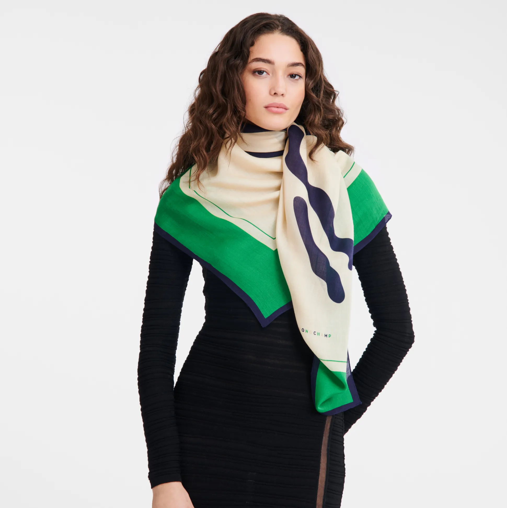 schal_1-6.webp Longchamp Schal^Damen Schals