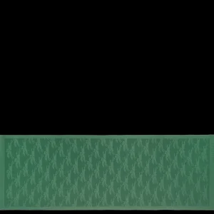 Longchamp Schals^Damen Schals | Schals