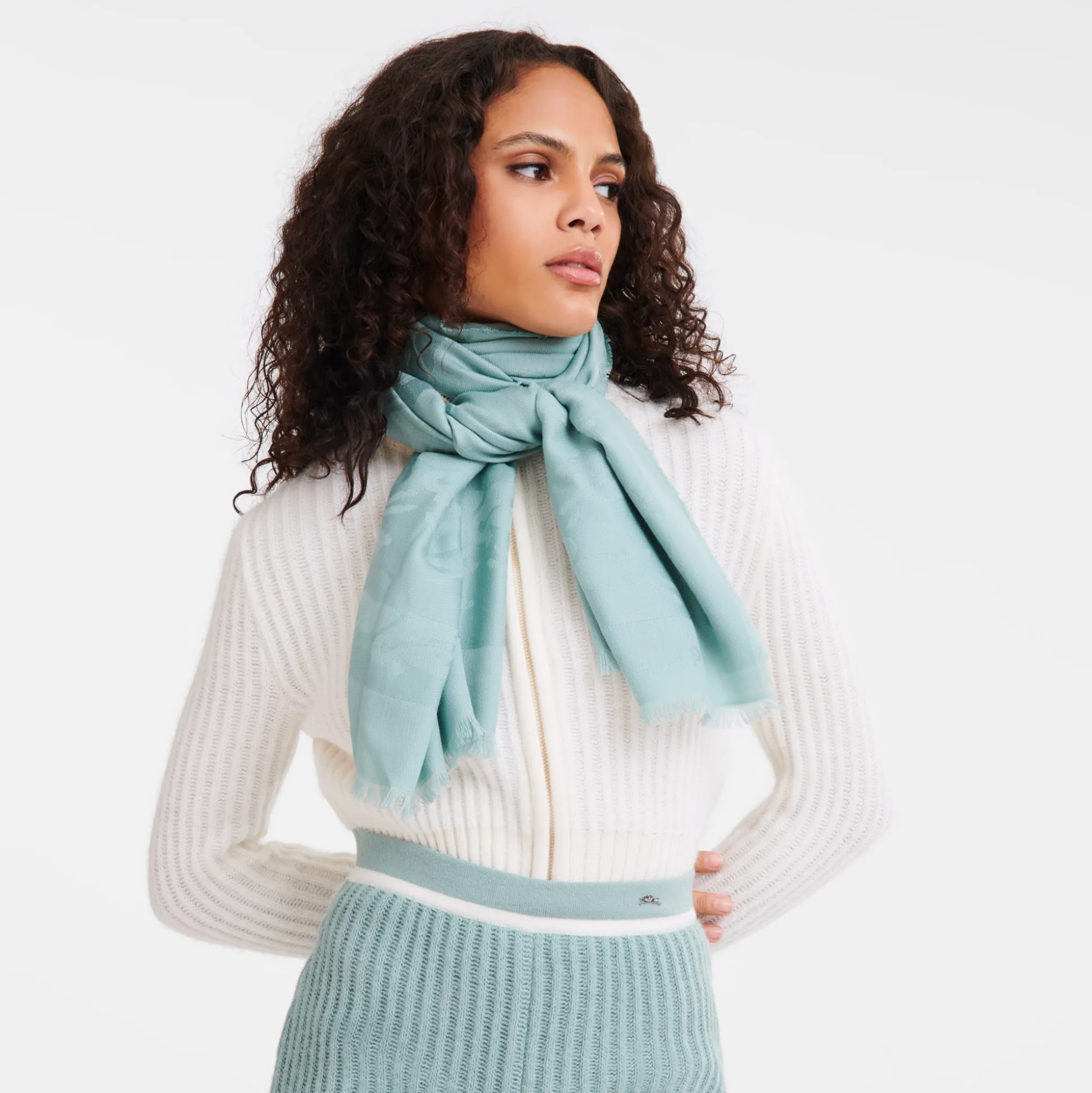 schals_1-11.webp Longchamp Schals^Damen Schals | Schals