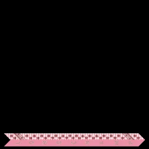 Longchamp Seidenband^Damen Seidenband