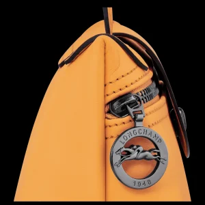 Longchamp Umhängetasche^Damen Taschen Mit Schulterriemen | Mini-Taschen